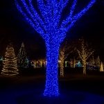 Гірлянда Різдвяна фея вулична 100 (м) 1000 LED чорний провід Синій CF1000L100MBBL - Зображення 2