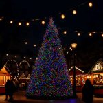 Гірлянда Різдвяна фея вулична 100 (м) 1000 LED чорний провід Мультиколір CF1000L100MBML - Зображення 6