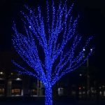 Гірлянда Нитка вулична 30 (м) 300 LED чорний провід Синій CF300L30MBBL - Зображення 2