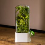 Контейнер для зберігання зелені у холодильнику 14×7×26 см ємність для зелені Білий HP-DS2-1 - Зображення 2