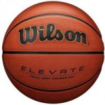Баскетбольний м'яч Wilson NBA AUTHENTIC INDOOR OUTDOOR розмір 6