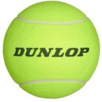 Сувенірний м'яч Dunlop AC Dungb