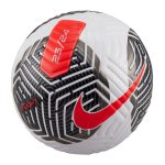 Футбольний м’яч Nike Flight FA23 OMB (FIFA PRO) FB2901-100