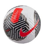 Футбольний м’яч Nike Flight FA23 OMB (FIFA PRO) FB2901-100