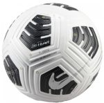 Футбольний м’яч Nike Club Elite Team FA-24 (FIFA PRO) FZ7544-100