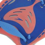Лопатки для плавання Speedo BIOFUSE POWER PADDLE AU блакитний, помаранчевий Уні L - Зображення 4