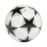 Футбольний м'яч adidas UCL Training IX4062 №5 - Зображення 2