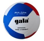 Волейбольний м'яч Gala Pro-Line 12 BV5585S - Зображення 3