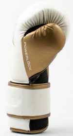 Боксерські рукавиці Everlast POWERLOCK 2R TRAINING GLOVE, білий/золотий, універсальні, 16 унцій - Зображення 4