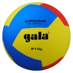 Волейбольний м'яч Gala 210 Light 12 BV5555S