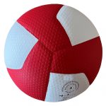 Волейбольний м'яч Gala Pro-Line 12 BV5585S - Зображення 2