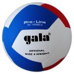 Волейбольний м'яч Gala Pro-Line 12 BV5585S