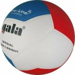 Волейбольний м'яч Gala Pro-Line 12 FIVB BV5595S - Зображення 4
