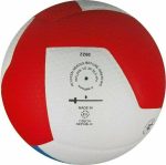 Волейбольний м'яч Gala Pro-Line 12 FIVB BV5595S - Зображення 3