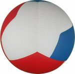 Волейбольний м'яч Gala Pro-Line 12 FIVB BV5595S - Зображення 6