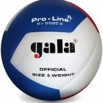 Волейбольний м'яч Gala Pro-Line 12 FIVB BV5595S