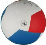Волейбольний м'яч Gala Pro-Line 12 FIVB BV5595S - Зображення 5