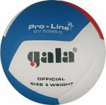 Волейбольний м'яч Gala Pro-Line 12 FIVB BV5595S - Зображення 2