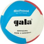 Волейбольний м'яч Gala School 12 BV5715S