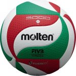 Волейбольний м'яч Molten V5M5000 FIVB