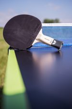 Ракетка для настільного тенісу Butterfly Timo Boll SG11 - Зображення 4